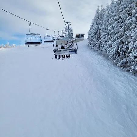 Altastenberg Nabij De Piste * Winterberg