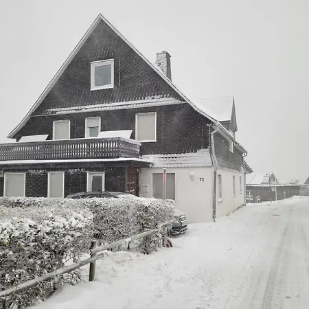 Altastenberg Nabij De Piste