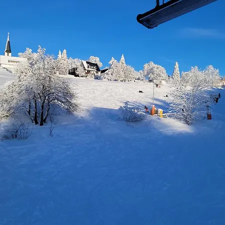 Ferienhaus Altastenberg Nabij De Piste Winterberg