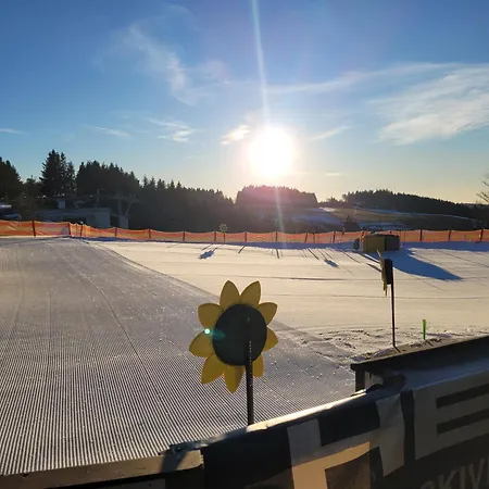 Altastenberg Nabij De Piste *
