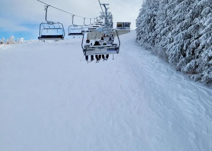 Altastenberg Nabij De Piste * 温特贝格