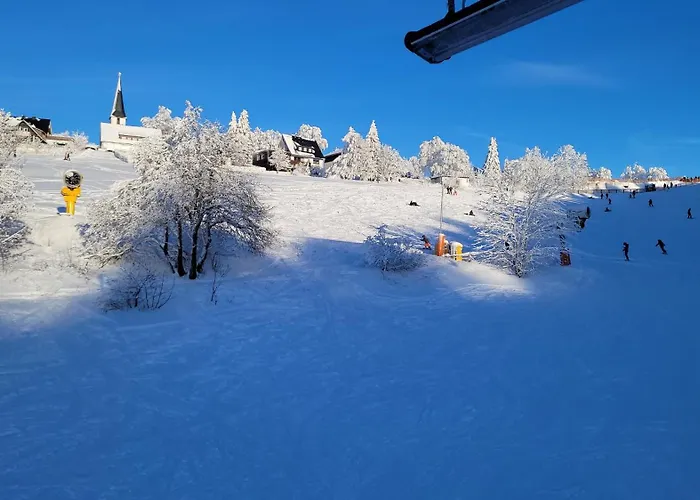 度假居 Altastenberg Nabij De Piste 温特贝格