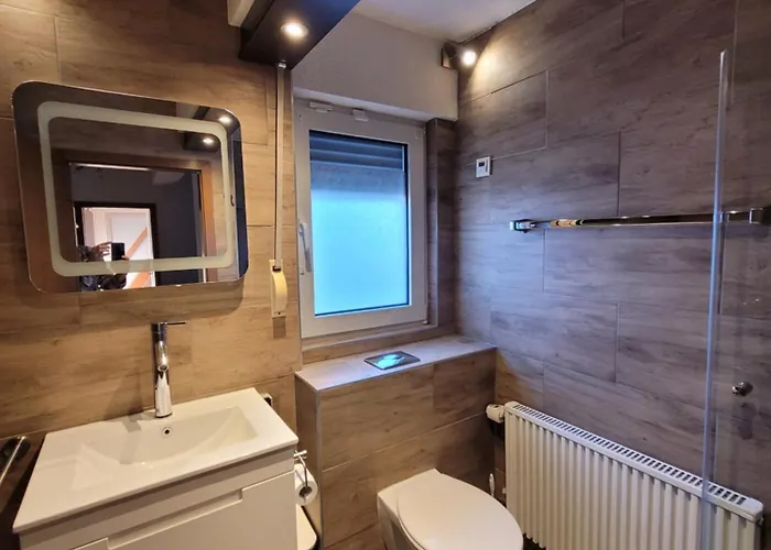 Altastenberg Nabij De Piste 温特贝格