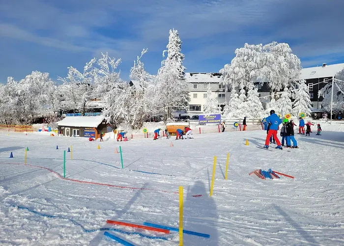 Altastenberg Nabij De Piste